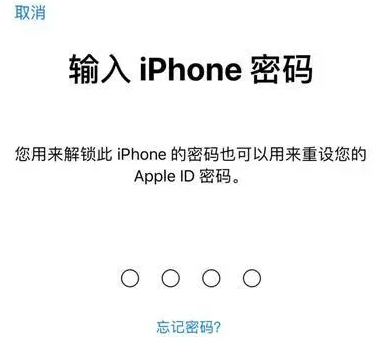 扶余苹果15维修网点分享iPhone 15六位密码怎么改四位 