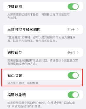 扶余苹果授权维修站分享iPhone轻点无法唤醒怎么办 