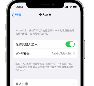 扶余apple服务站点分享iPhone上个人热点丢失了怎么办 