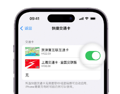 扶余apple维修点分享iPhone上更换Apple Pay快捷交通卡手绘卡面 