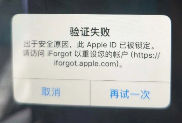 扶余iPhone维修分享iPhone上正常登录或使用AppleID怎么办 