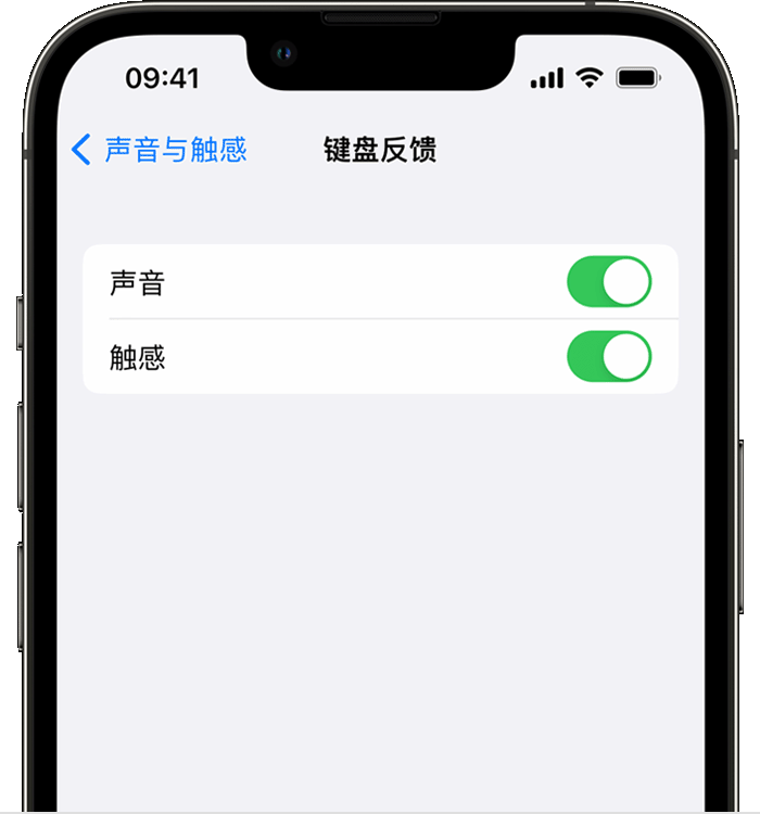 扶余苹果14维修店分享如何在 iPhone 14 机型中使用触感键盘 