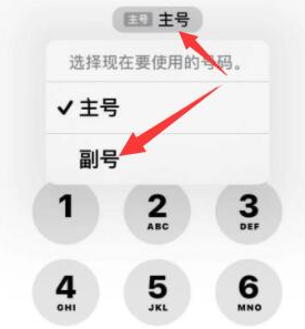 扶余苹果14维修店分享iPhone 14 Pro Max使用副卡打电话的方法 