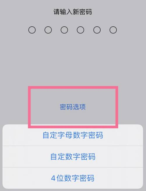 扶余苹果14维修分享iPhone 14plus设置密码的方法 