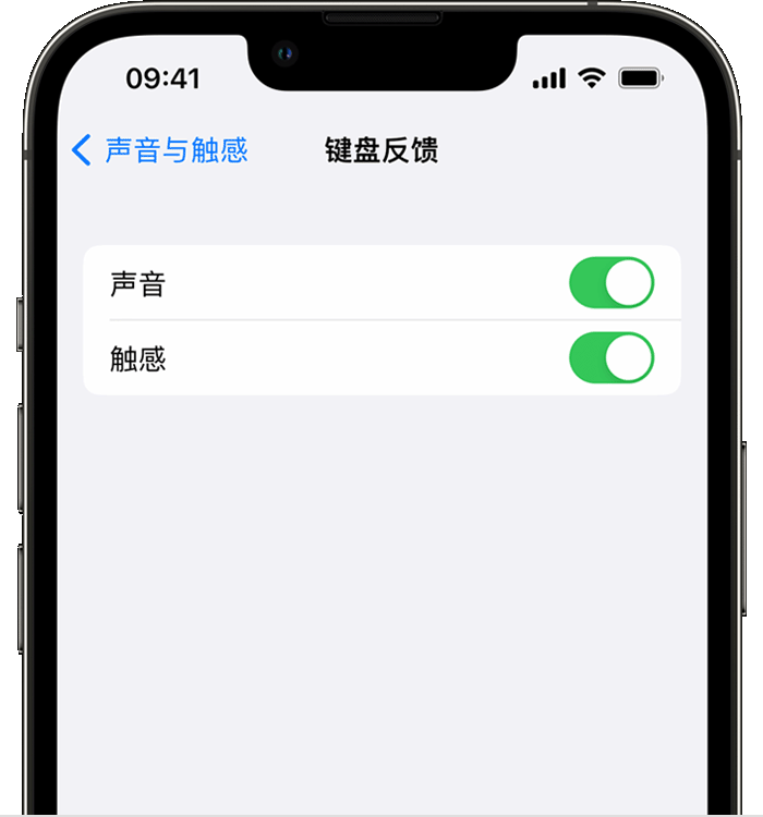 扶余苹果14维修分享iPhone 14 系列机型如何开启键盘声音或触感反馈 