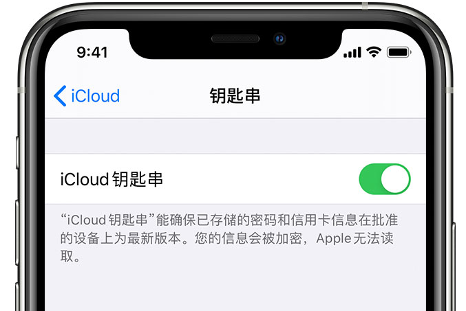 扶余苹果手机维修分享在 iPhone 上开启 iCloud 钥匙串之后会储存哪些信息 