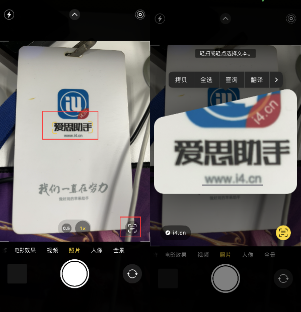 扶余苹果手机维修分享升级iOS 16后如何通过相机翻译文本 