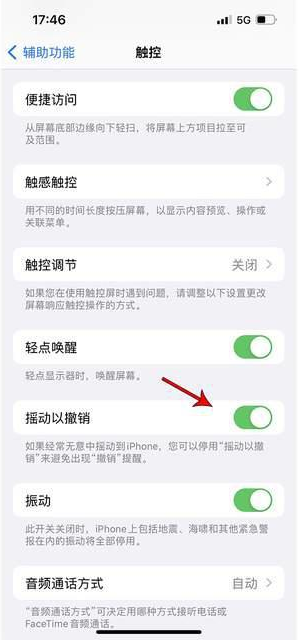 扶余苹果手机维修分享iPhone手机如何设置摇一摇删除文字 