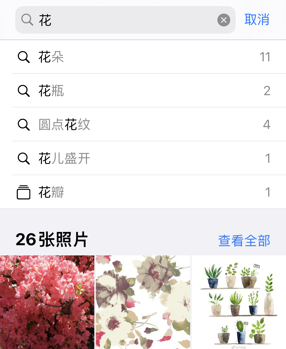 扶余苹果手机维修分享iPhone 小技巧 