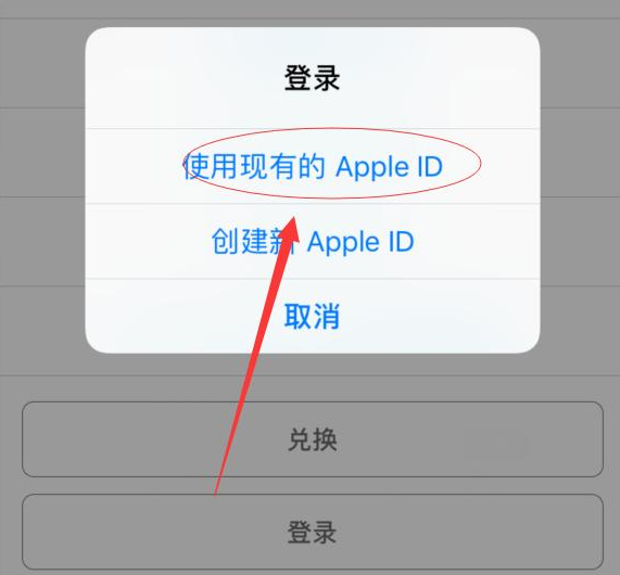 扶余苹果手机维修分享两台iPhone设备可以同时登录一个Apple ID吗 