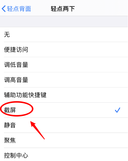 扶余苹果手机维修分享iPhone12如何启用双击截屏 