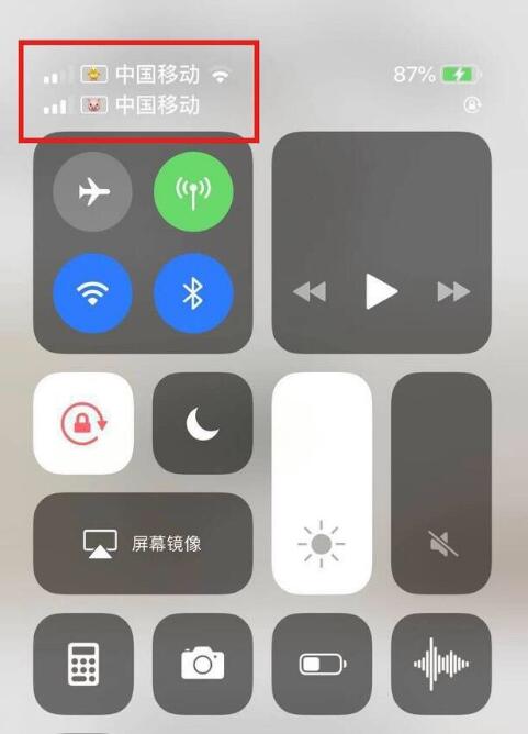 扶余苹果手机维修分享为 iPhone 12 双卡设置标签 