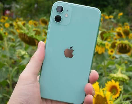 扶余苹果维修点分享iPhone 11锁屏密码认知与使用科普 