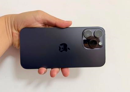 扶余苹果维修点分享iPhone 14 Pro Max黑屏少见故障盘点 